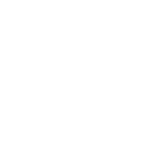 Archeo0ctopus animated emblem